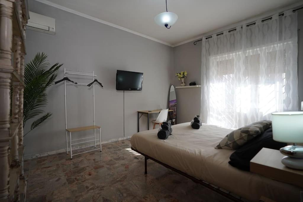 Big Flat Metro C Apartment Rom